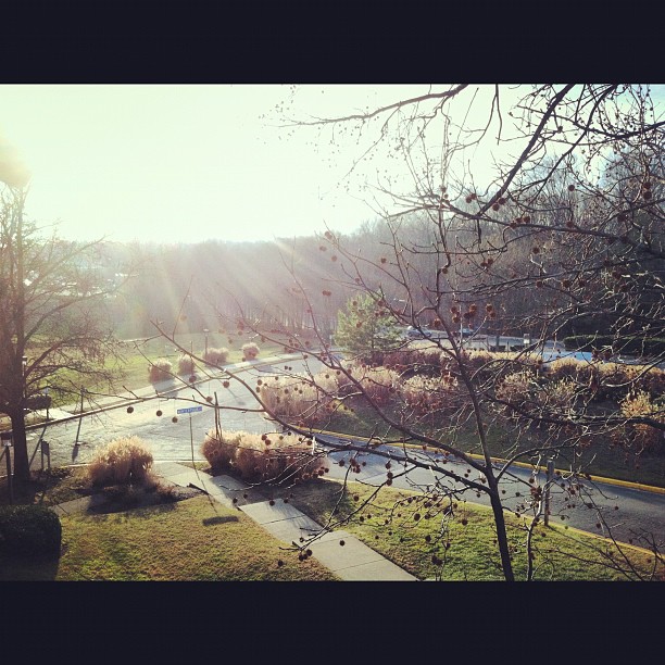 396098_10200122477959797_1538500776_n