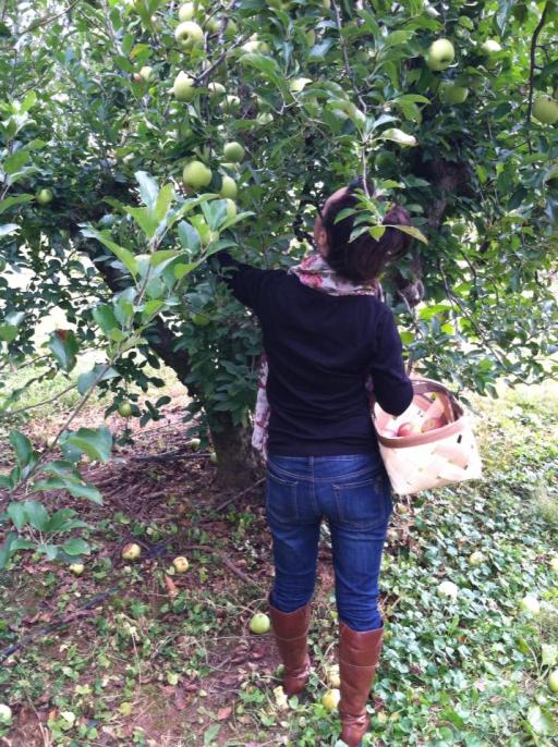 Brandie Apple Picking 2