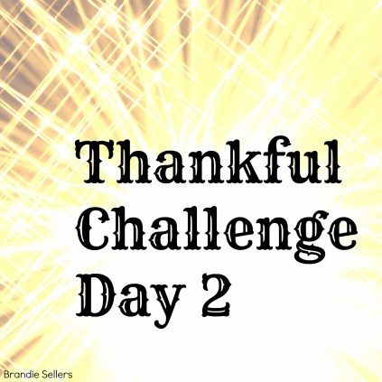 Thankful Day 2