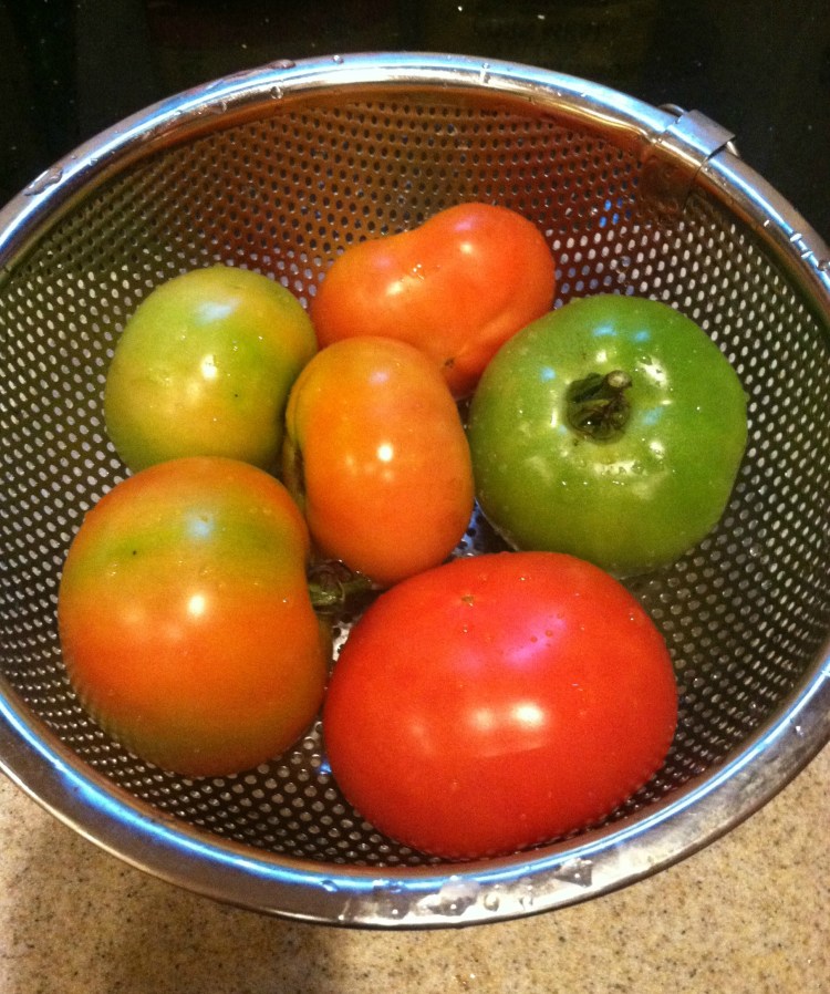 Colorful Tomatoes