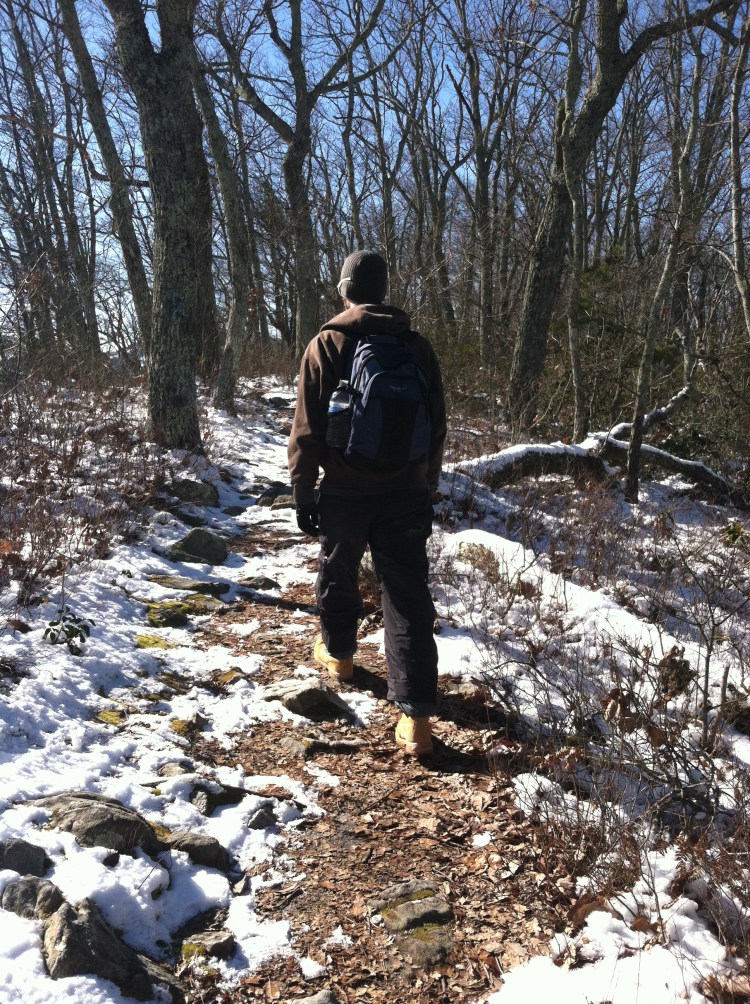 brandie-sellers.com (2)