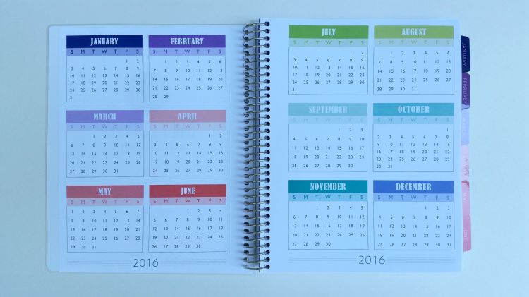 PPP year-at-a-glance