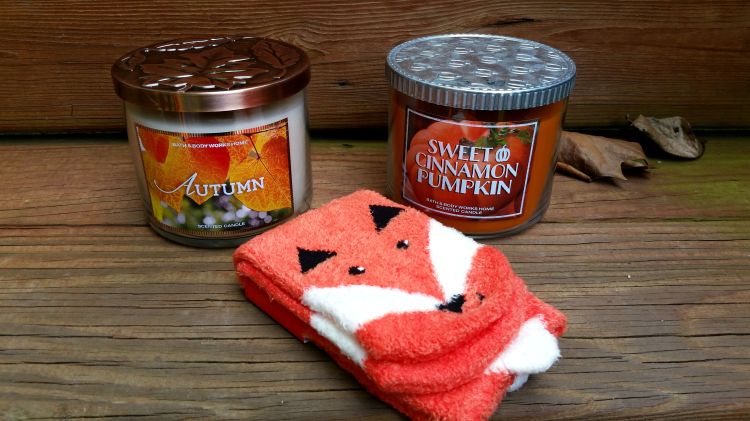 BBW Autumn and Sweet Cinnamon Pumpkin and Fox Socks brandie-sellers.com