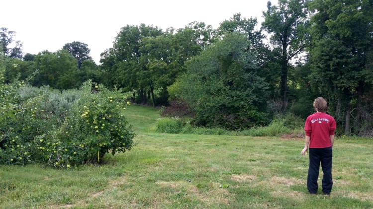 apple picking 11  brandie-sellers.com