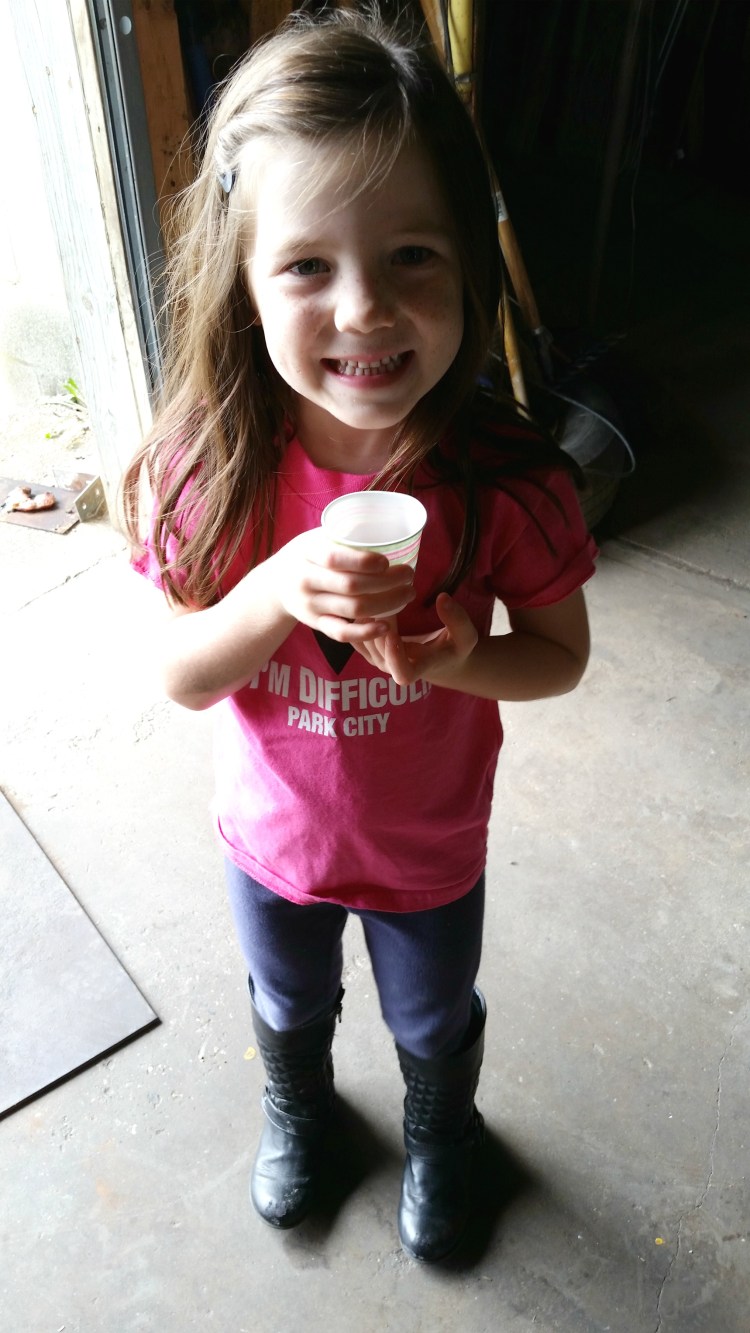 apple picking 16  brandie-sellers.com