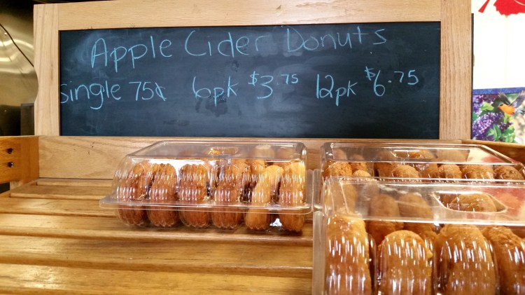 apple picking 17  brandie-sellers.com