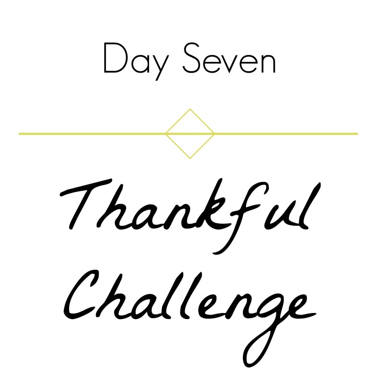 thankful-challenge-day-7-brandie-sellers-com