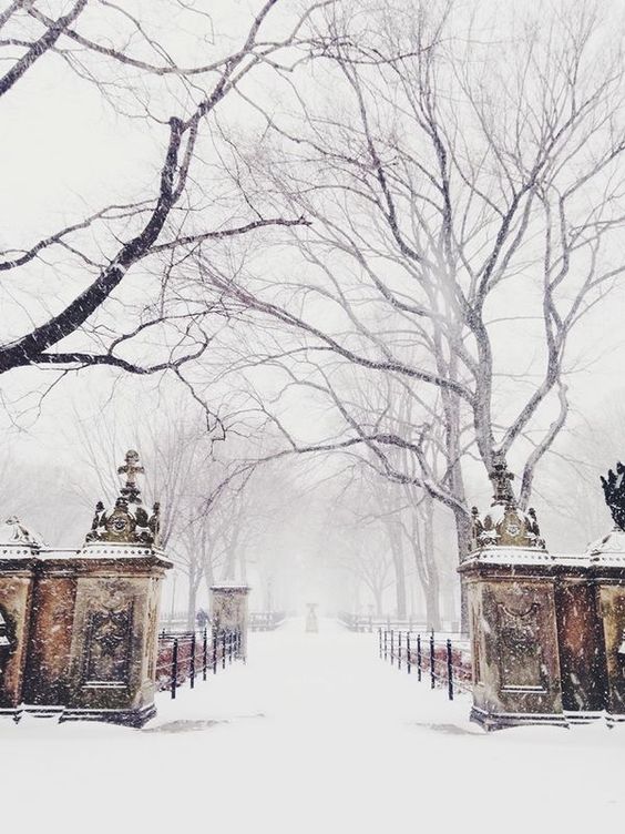 8eecc91057cdf1c8fddeb6f977d5b509